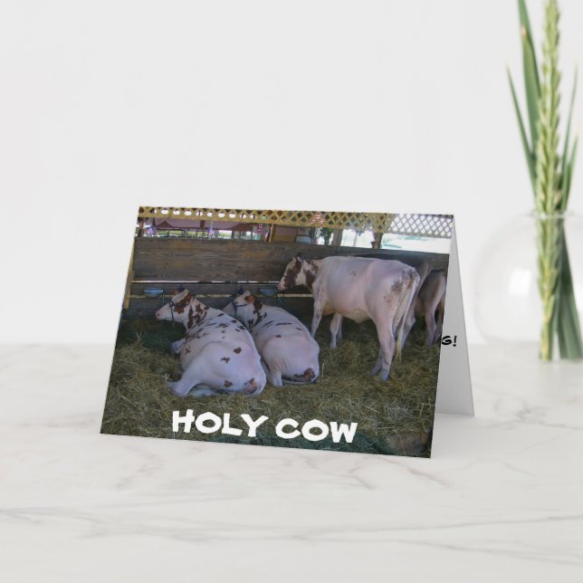 CARTÃO **50º ANIVERSÁRIO?** NÃO SE PREOCUPE QUE NÃO VAMOS (Frente)