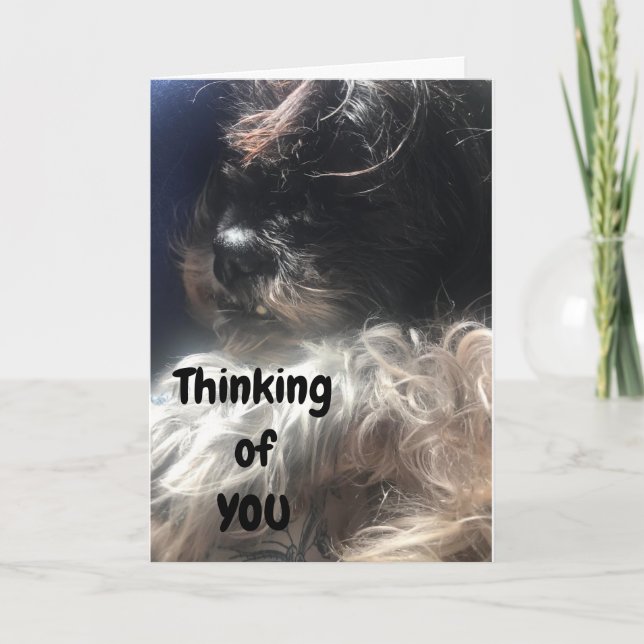 CARTÃO "50º ANIVERSÁRIO" PENSANDO EM VOCÊ COMO EU SEMPRE  (Frente)