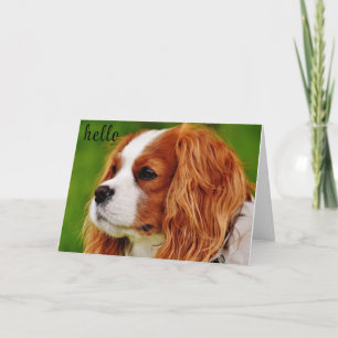 CARTÃO **50** COMO SE SENTE HUMOR DE ANIVERSÁRIO?