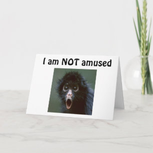 CARTÃO **50?** VOCÊ NÃO PARECE UM DIA SUPERIOR A 49?? ANI