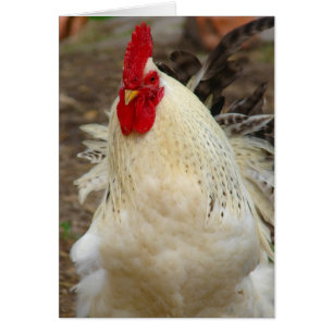 Cartão 5 dedos em um dia de vento