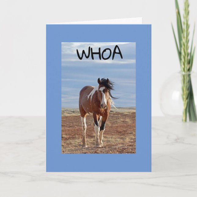 CARTÃO **60º E VOCÊ É FABULOSO COMO HABITUAL (Frente)