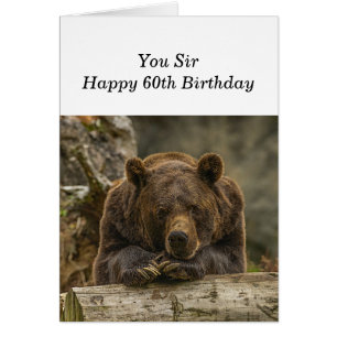 Cartão 60º sobre a colina - Urso Grizzly Sério