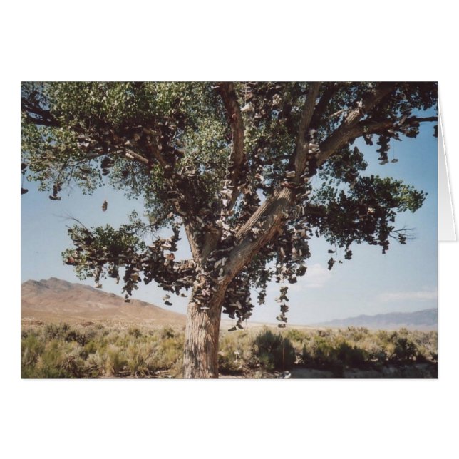 Cartão 60. Calçado Tree, Nevada (Frente Horizontal)