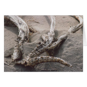 Cartão 61. Rack de madeira Antler