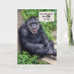 Cartão 64.o aniversário do Chimpanzé<br><div class="desc">Chimpanzé inclinado sobre rocha com vegetação verde por 64 anos.</div>