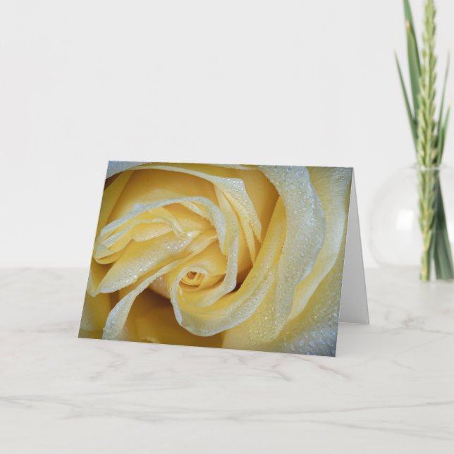 Cartão 6557-Rosa Amarela com Vista (Frente)