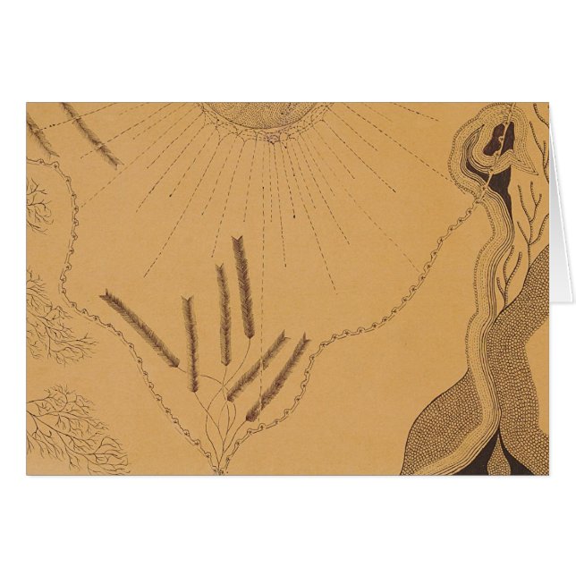 Cartão 6 de John Haughton (Frente Horizontal)