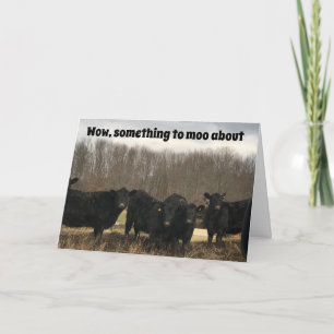 CARTÃO **70** ANIVERSÁRIO É ALGO PARA "MOO SOBRE"