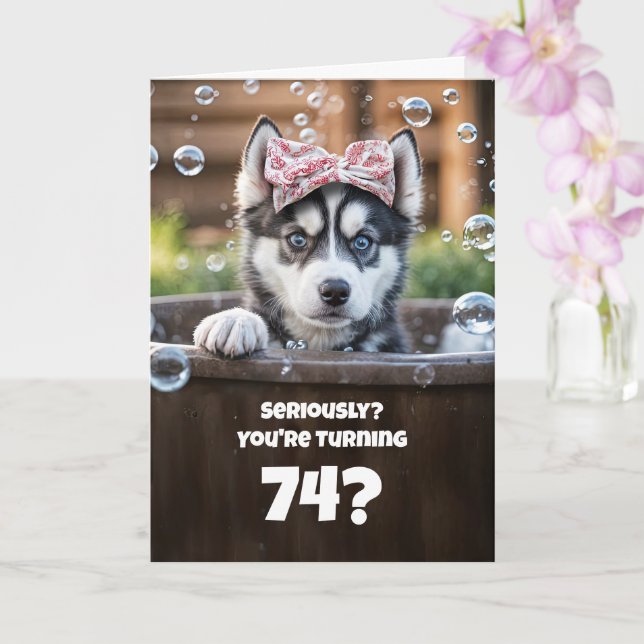 Cartão 74th Funny Husky Bath Cute Birthday (Orquídea)