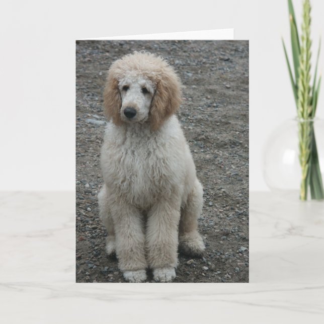 Cartão 7 Aero (Frente)