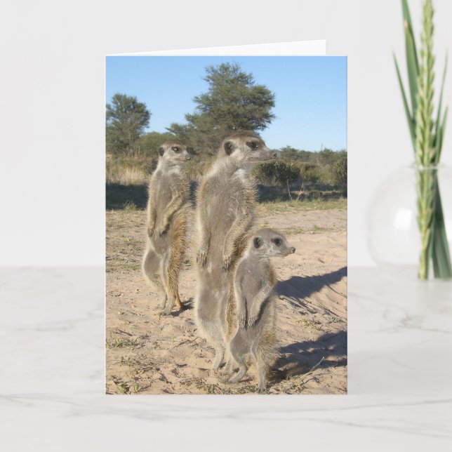 Cartão 7 de KMP - astecas (Frente)