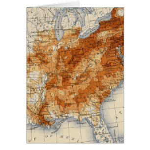 Cartão 7 População 1840