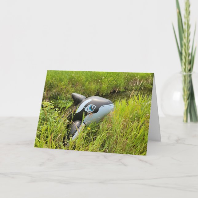 Cartão 7"x5" Folded Card || Sage Creek Orca (Frente)