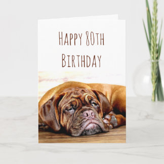 Cartão 80 Aniversário Triste Cachorro Fica Humor Pawsitiv