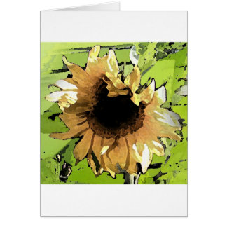 Cartão 8 cultivados em casa