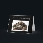Cartão 91st aniversário engraçado, labrador retriever<br><div class="desc">91st aniversário engraçado,  labrador retriever</div>