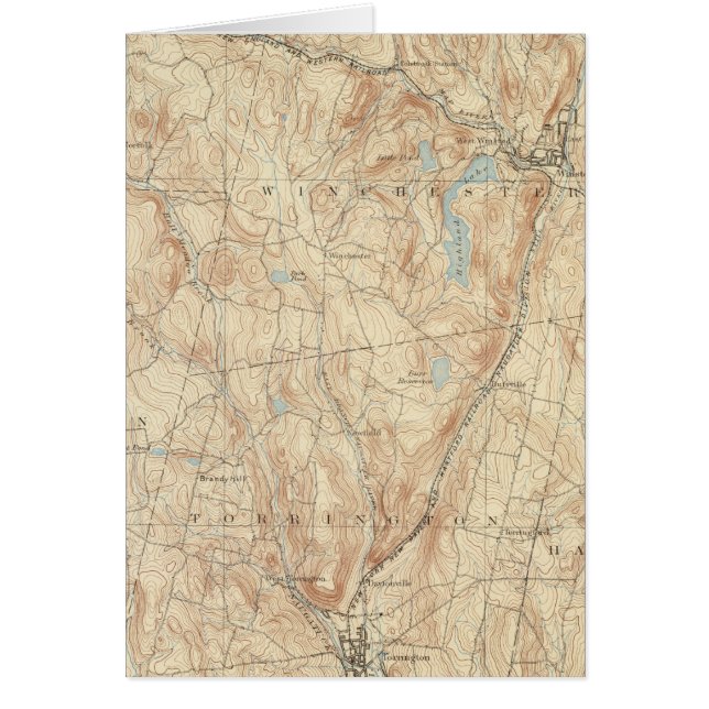 Cartão 9 Folha em parede (Frente)