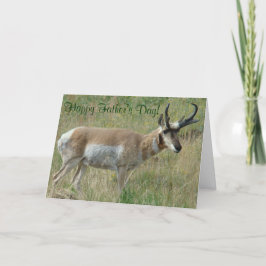Cartão A12 Pronghorn Antelope Buck