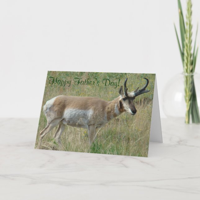 Cartão A12 Pronghorn Antelope Buck (Frente)