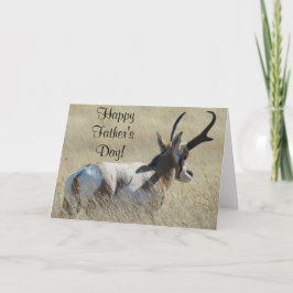 Cartão A14 Pronghorn Antelope Sunshine Buck