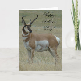 Cartão A37 Pronghorn Antelope Big Buck Crooke Horns
