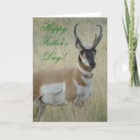 A9 Pronghorn Antelope Big Buck