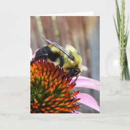 Cartão A Abelha Bumble