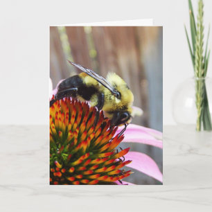 Cartão A Abelha Bumble