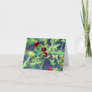 Cartão A Abelha Com Flor Vermelho