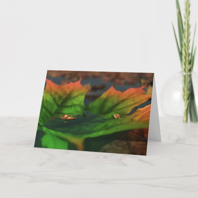 Cartão A Água É Uma Placa Ampla (Frente)