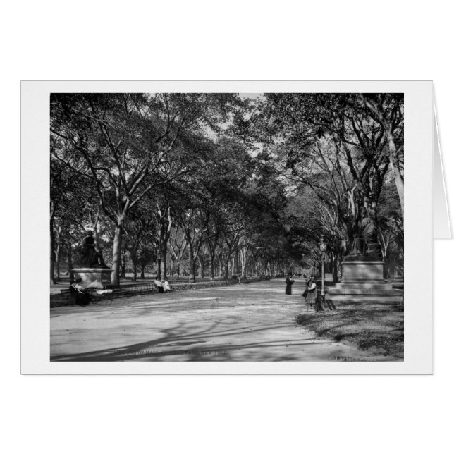 Cartão A Alameda no Central Park em Nova Iorque (Frente Horizontal)