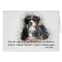 A Alma de um Cachorro - Cachorro da Montanha Berne