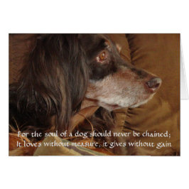 Cartão A alma de um cão - "Por Milly"