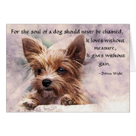 Cartão A alma de um cão - Yorkie