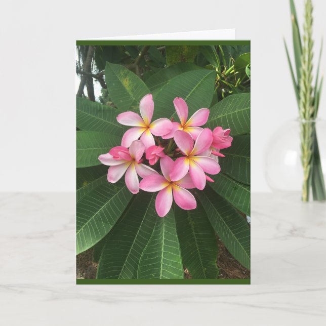 CARTÃO A * ANIVERSÁRIO ESPECIAL* PARA UMA *PESSOA ESPECIA (Frente)