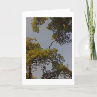 Cartão A árvore de vida vive por muito tempo & progride