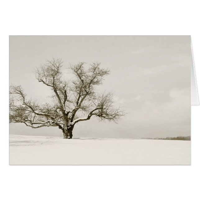 Cartão A árvore do inverno - vazio (Frente Horizontal)
