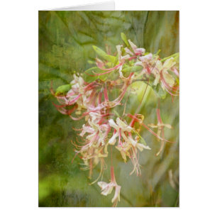 Cartão A azálea selvagem floresce = primavera
