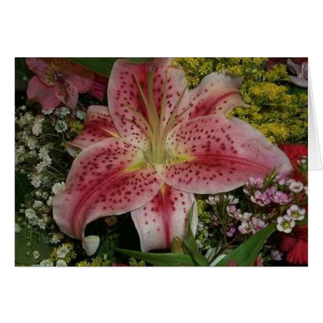 Cartão A beleza da natureza (Frente Horizontal)