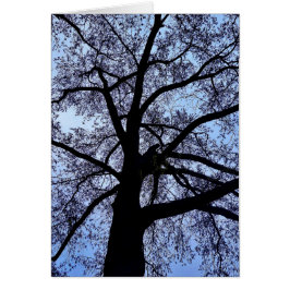 Cartão A beleza da natureza