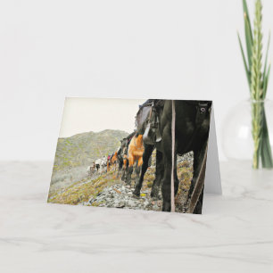 Cartão A beleza de Chisana