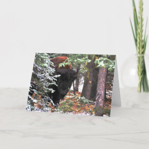 Cartão A beleza de Chisana