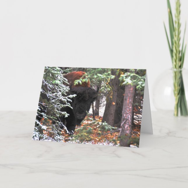 Cartão A beleza de Chisana (Frente)