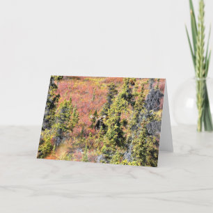 Cartão A beleza de Chisana