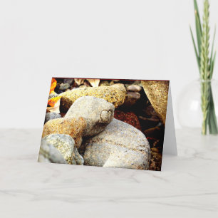 Cartão A beleza de Chisana