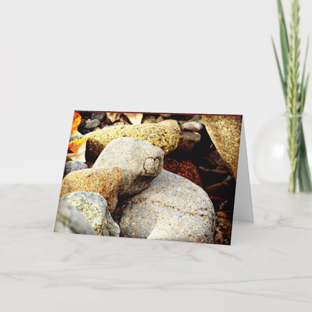 Cartão A beleza de Chisana (Frente)