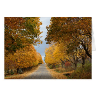 Cartão A Beleza do Outono