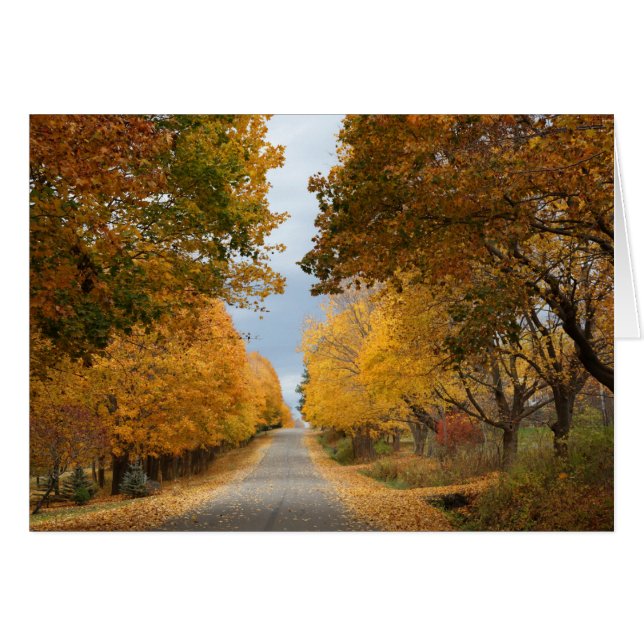 Cartão A Beleza do Outono (Frente Horizontal)