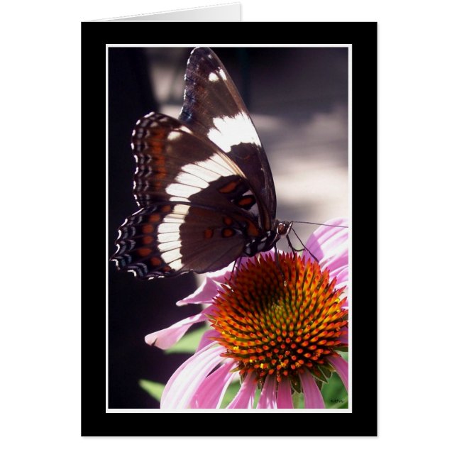 Cartão A Borboleta (Frente)